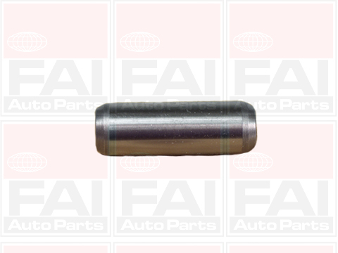 ghid supapa BFG96027 FAI AutoParts