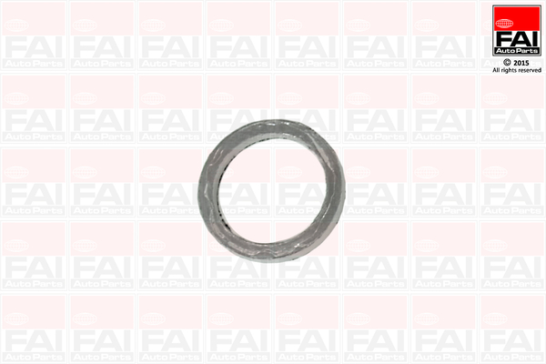 Set garnituri, galerie evacuare EM1723 FAI AutoParts