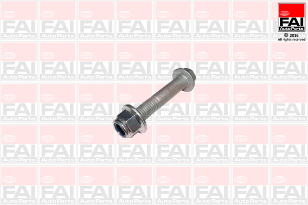 Bolturi fixare, brat suspensie SS9248 FAI AutoParts