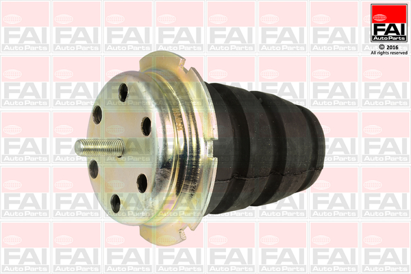 Lagar, fixare ax SS4365 FAI AutoParts
