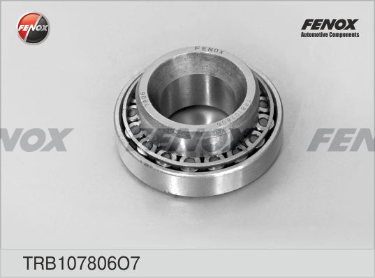 Set rulment roata TRB107806O7 FENOX