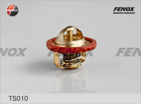 Termostat,lichid racire TS010 FENOX