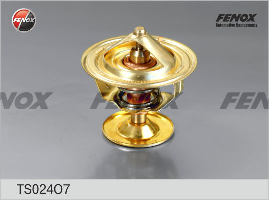 Termostat,lichid racire TS024O7 FENOX