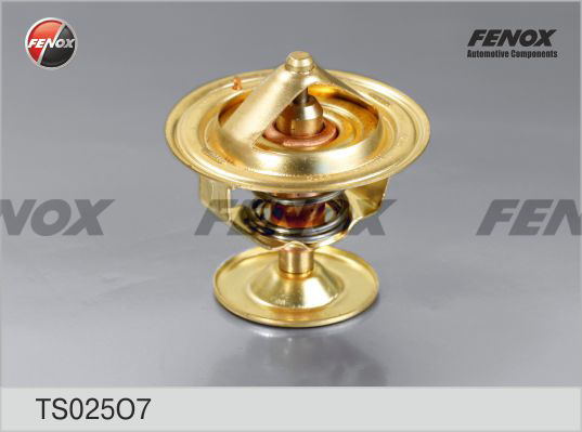 Termostat,lichid racire TS025O7 FENOX