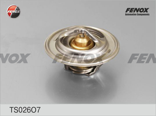 Termostat,lichid racire TS026O7 FENOX