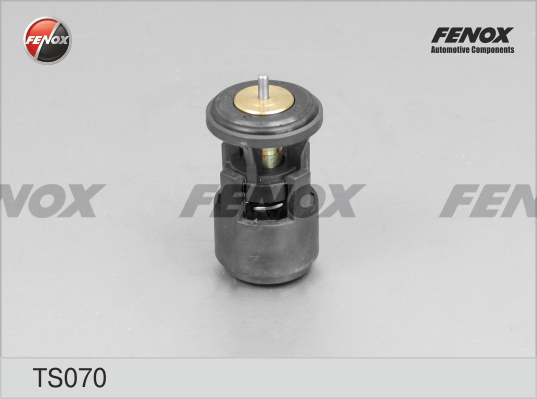 Termostat,lichid racire TS070 FENOX
