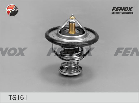 Termostat,lichid racire TS161 FENOX
