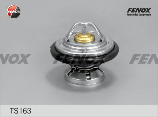 Termostat,lichid racire TS163 FENOX