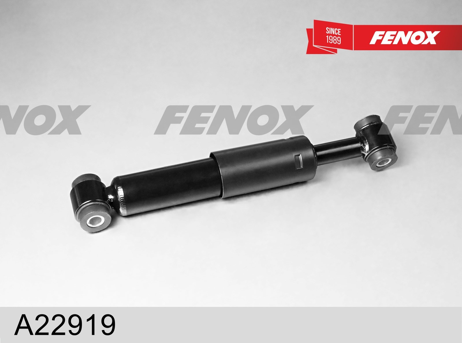 Amortizor A22919 FENOX