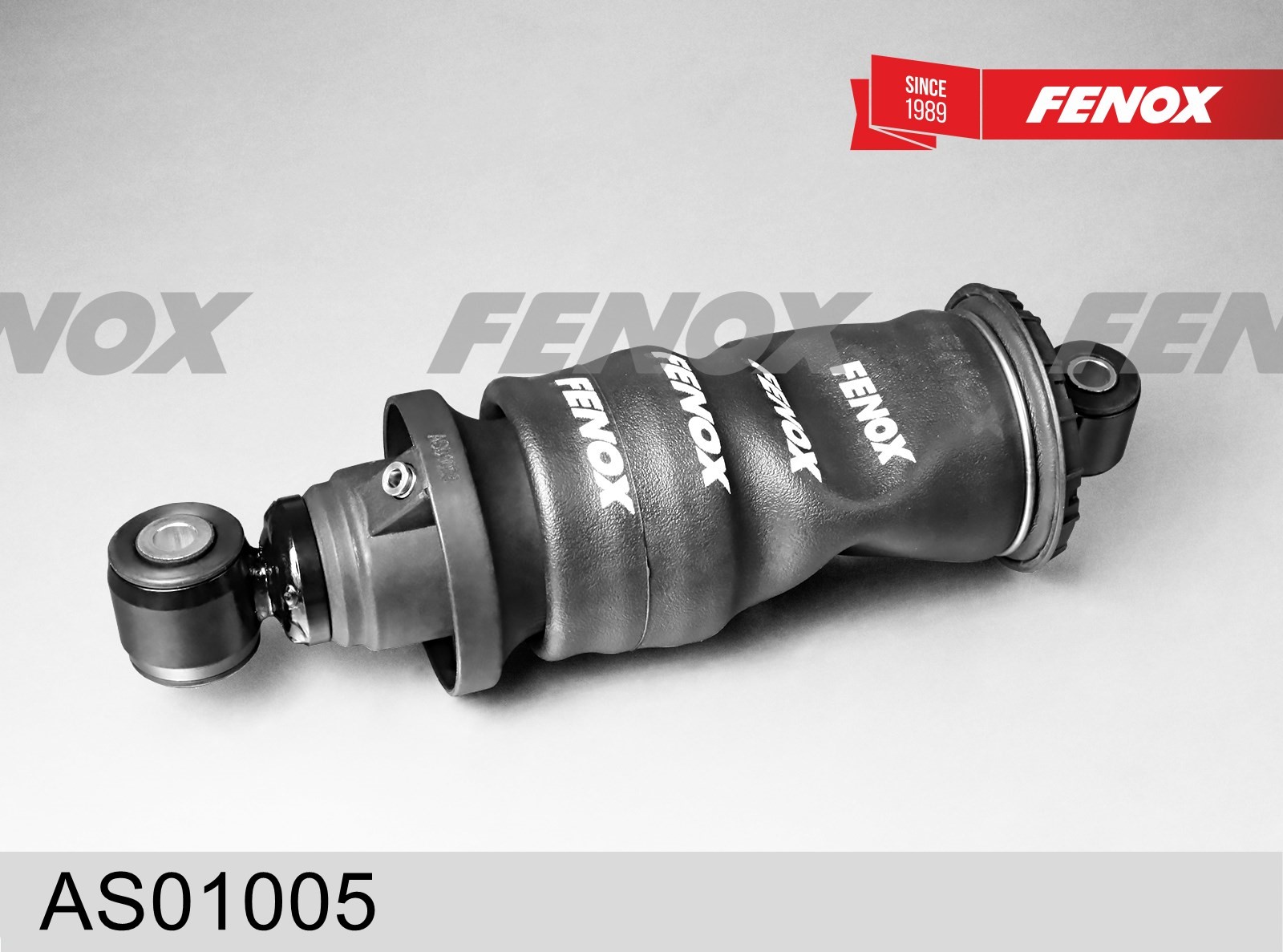 Amortizor AS01005 FENOX