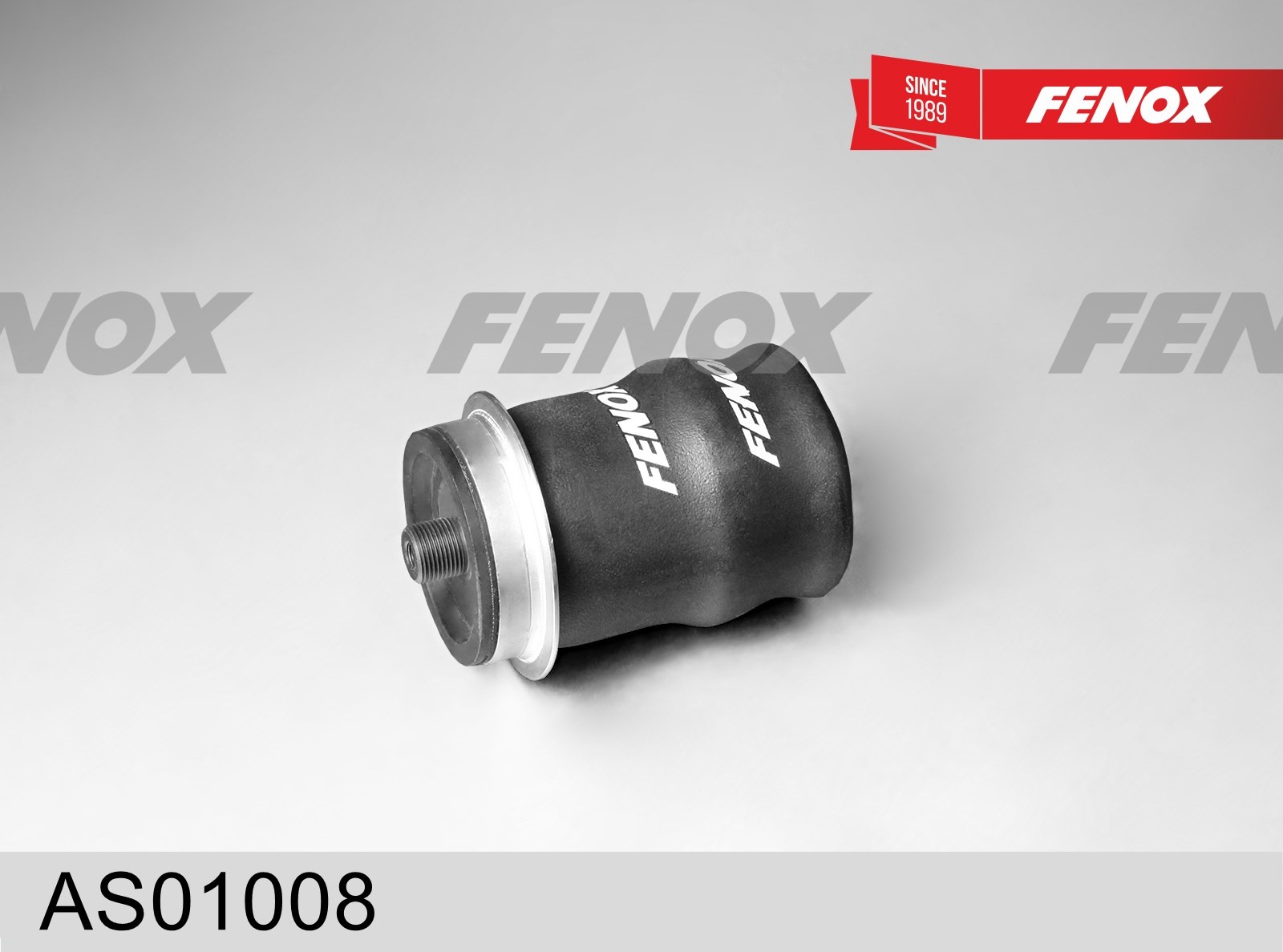 Amortizor AS01008 FENOX