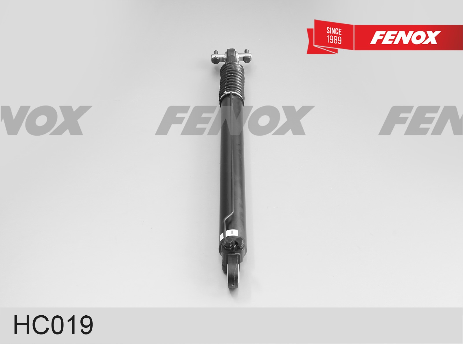 Cilindru basculare, cabina sofer HC019 FENOX