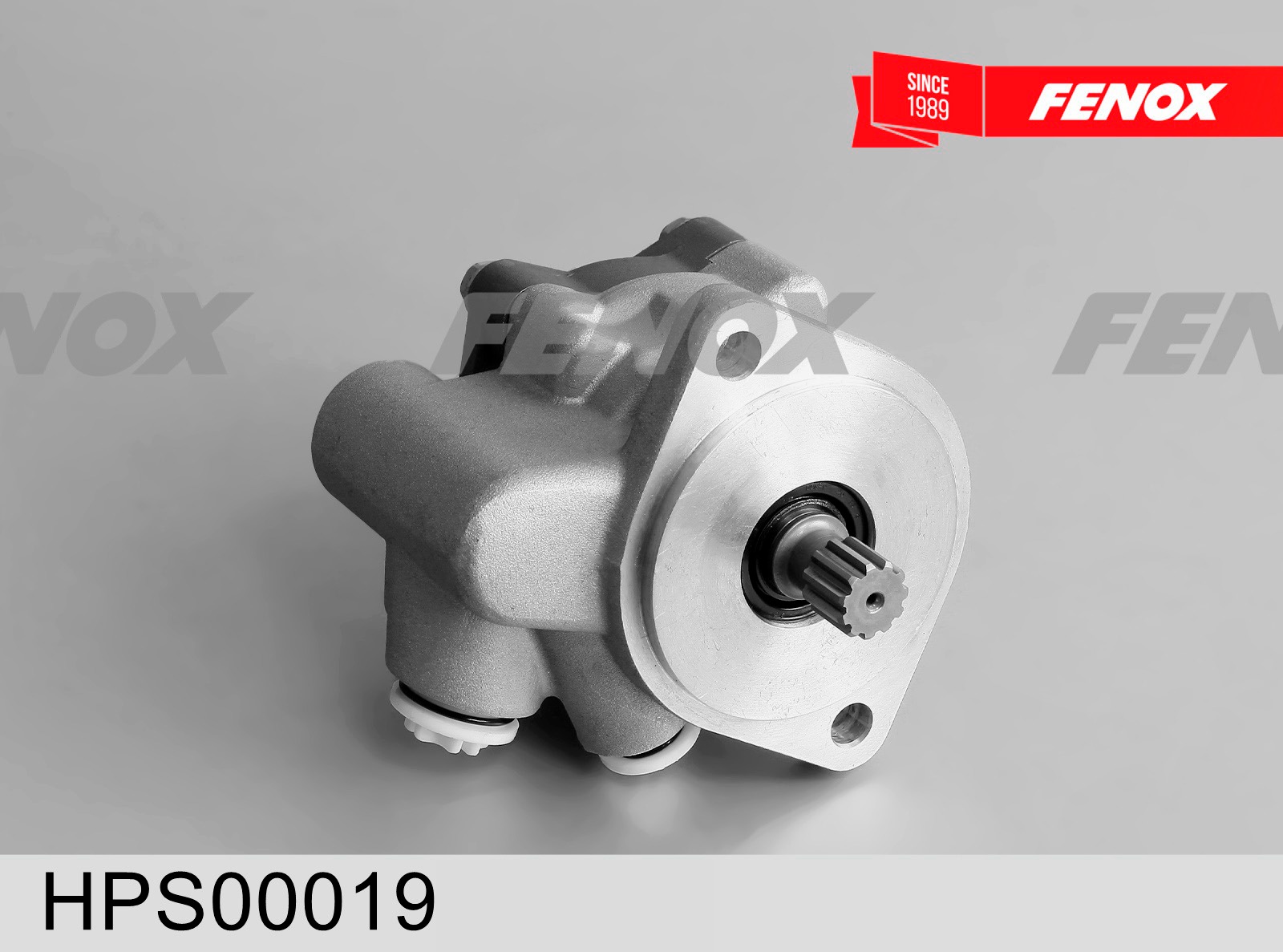 Pompa hidraulica, sistem de directie HPS00019 FENOX