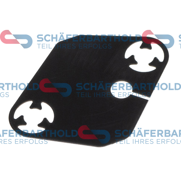 Garnitura, Intinzator lant de distributie 313 16 101 01 11 SchferbartholdGmbH