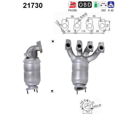 Catalizator 21730 AS