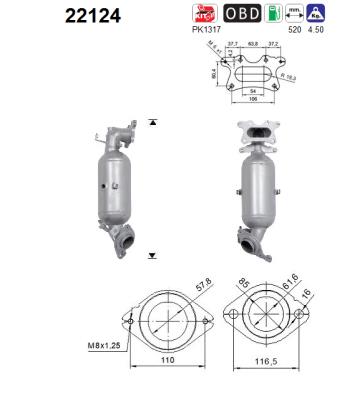 Catalizator 22124 AS