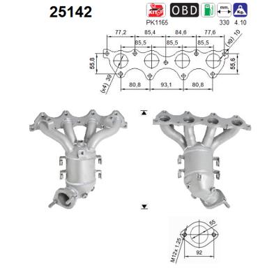 Catalizator 25142 AS