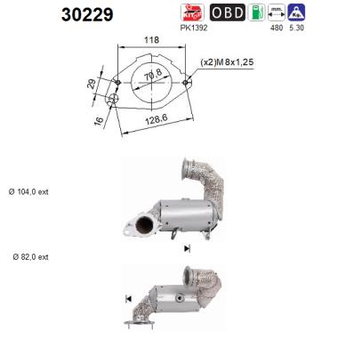 Catalizator 30229 AS