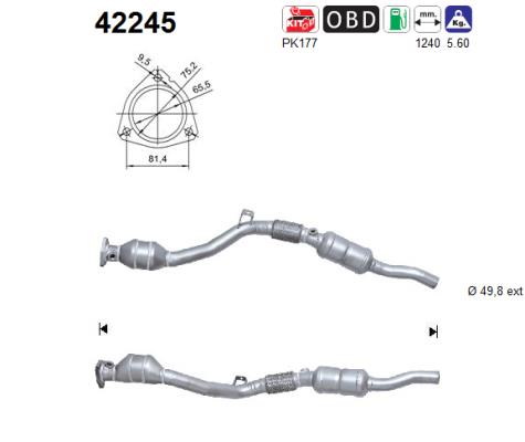 Catalizator 42245 AS