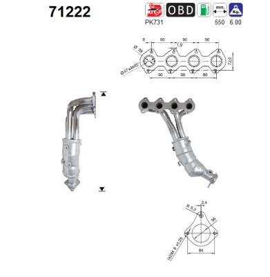 Catalizator 71222 AS