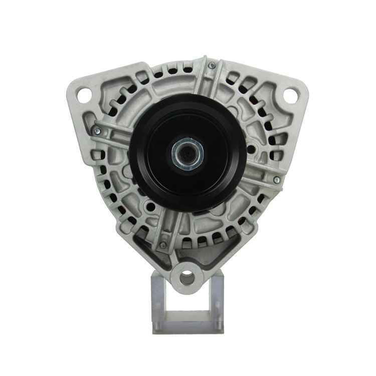 Generator / Alternator 556.504.080.310 BV PSH