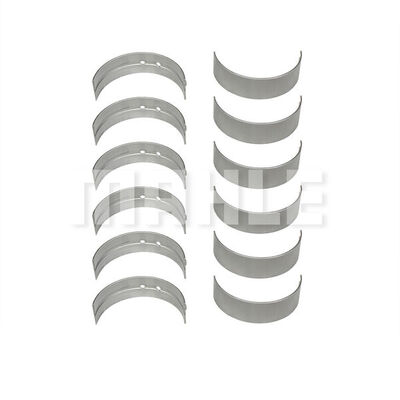 Set rulemt arbore cotit M0760863 MAHLE