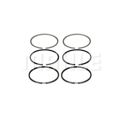 Set segmenti piston A0130859 MAHLE