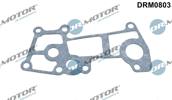 Garnitura, flansa lichid racire DRM0803 LIZARTE