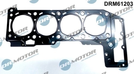 Garnitura, chiulasa DRM61203 LIZARTE