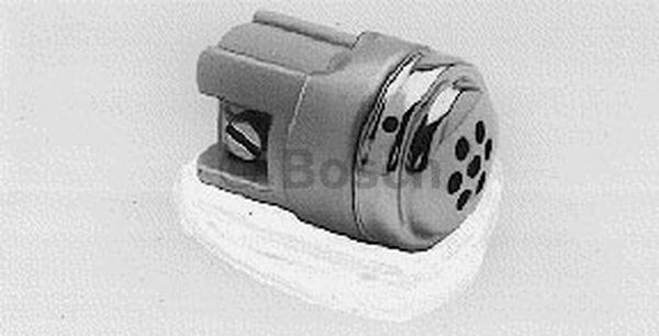 Indicator bujie incandescenta 0 251 002 031 BOSCH