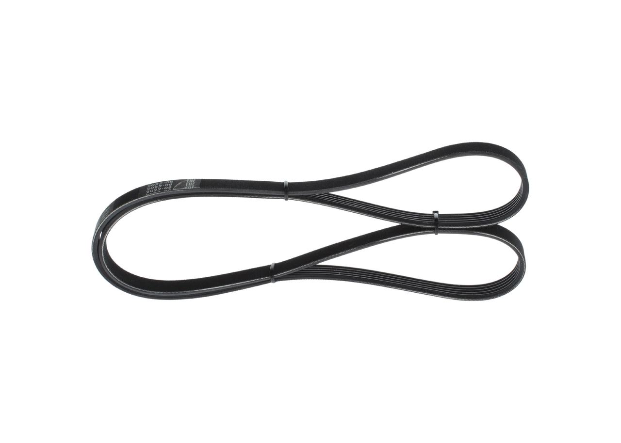 Curea transmisie cu caneluri 1 987 946 085 BOSCH