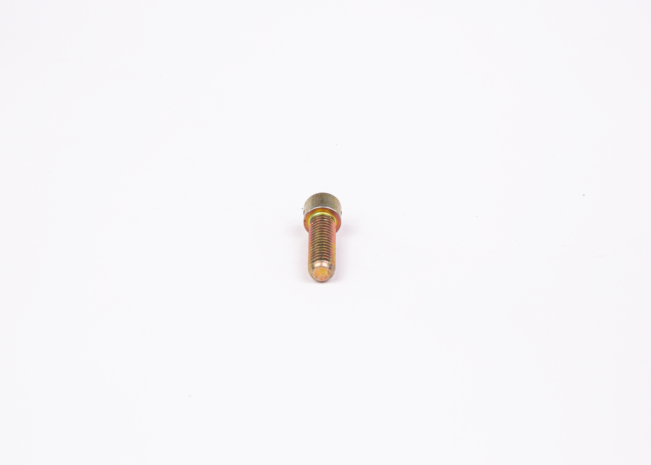 Surub 2 423 410 031 BOSCH