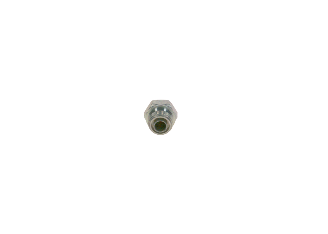 Surub 2 443 462 009 BOSCH