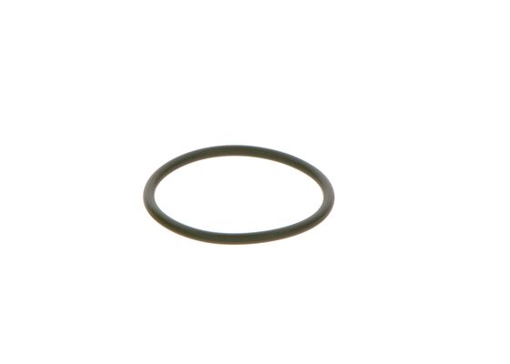 Inel cauciuc F 00R 0P0 166 BOSCH