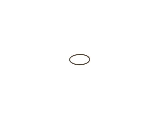 Inel cauciuc F 00R J00 220 BOSCH
