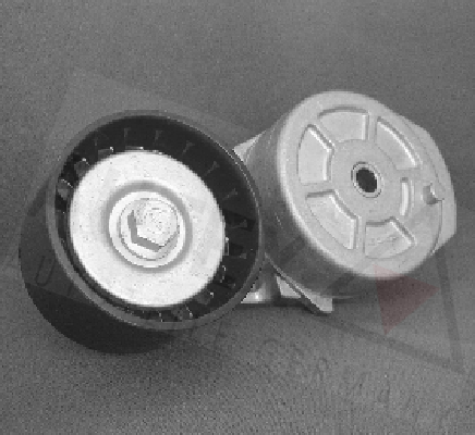 Rola intinzator,curea transmisie 654131 AUTEX