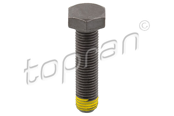 Surub volanta 502 756 TOPRAN