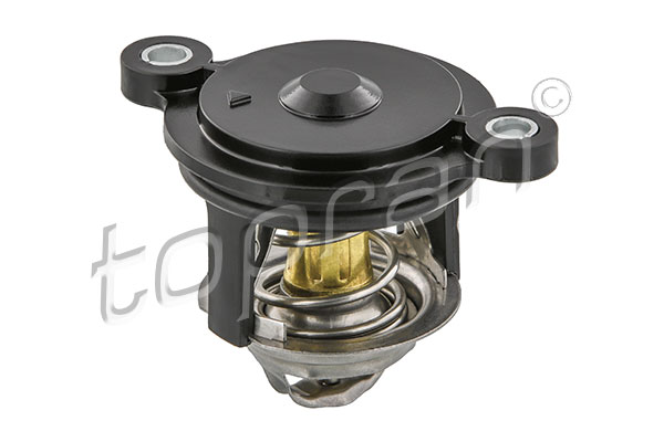 termostat,lichid racire 630 313 TOPRAN