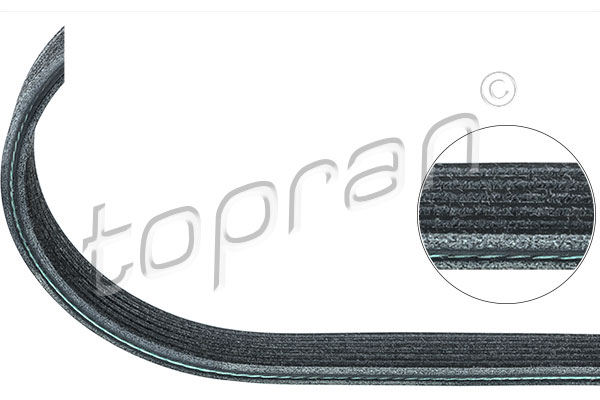 Curea transmisie cu caneluri 501 683 TOPRAN