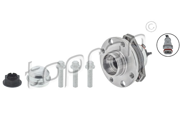 Set rulment roata 207 389 TOPRAN
