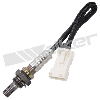 Sonda lambda 250-24497 WALKER PRODUCTS