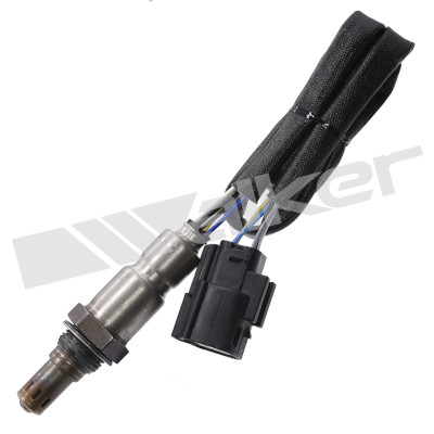 Sonda lambda 800-95033 WALKER PRODUCTS