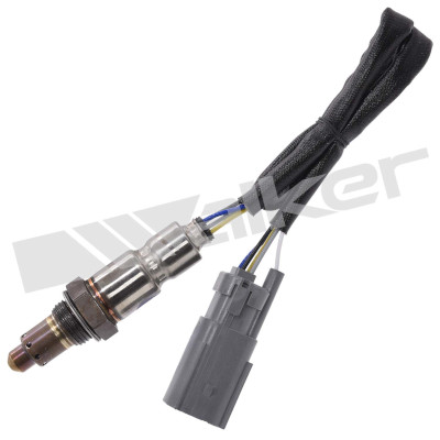 Sonda lambda 800-95039 WALKER PRODUCTS