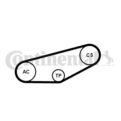 Set curea transmisie cu caneluri 4PK855K1 CONTINENTAL CTAM