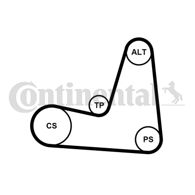 Set curea transmisie cu caneluri 5PK1135K1 CONTINENTAL CTAM