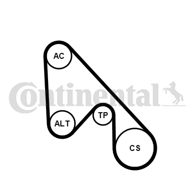 Set curea transmisie cu caneluri 5PK1145K1 CONTINENTAL CTAM