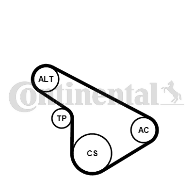 Set curea transmisie cu caneluri 5PK1212K1 CONTINENTAL CTAM