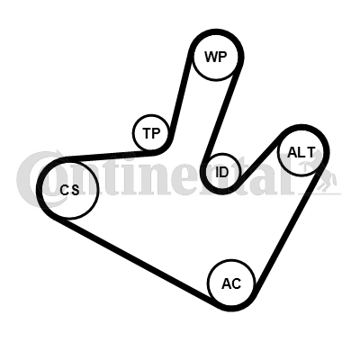 Set curea transmisie cu caneluri 5PK1515K1 CONTINENTAL CTAM