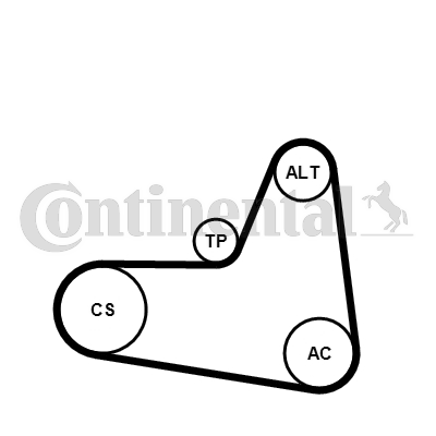 Set curea transmisie cu caneluri 6PK1045K2 CONTINENTAL CTAM