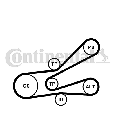 Set curea transmisie cu caneluri 6PK1045K3 CONTINENTAL CTAM